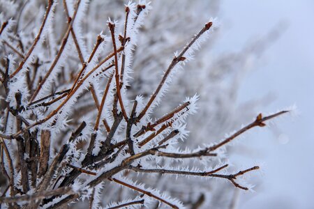 Cover snow winter