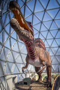 Sauropod dino urtier