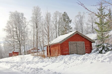 Winter cold beautiful photo