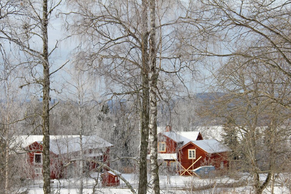 Winter cold beautiful
