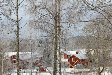 Winter cold beautiful photo