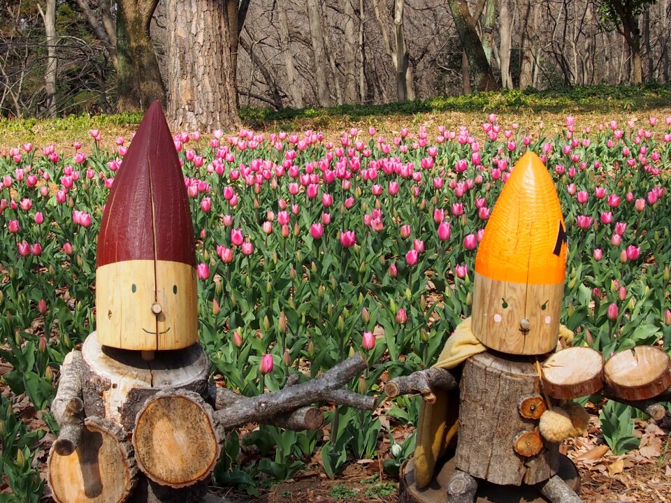 Spring this and doll