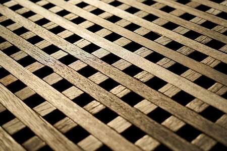 Brown macro detail