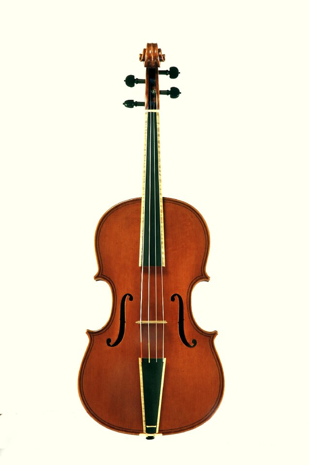 Violin stringed instruments Free photos