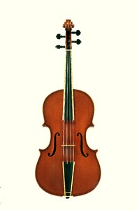 Violin stringed instruments Free photos photo