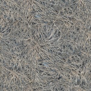 Seamless pattern dry grass photo