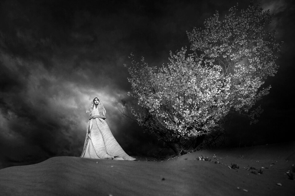 Starry sky black and white art