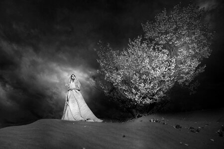 Starry sky black and white art