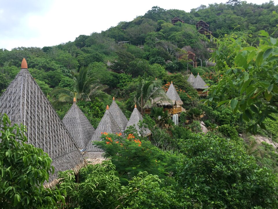 Jungle island exotic