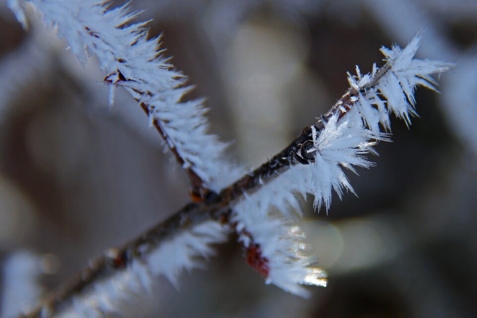 Cover snow winter