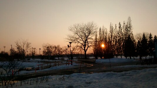Nature sunny light