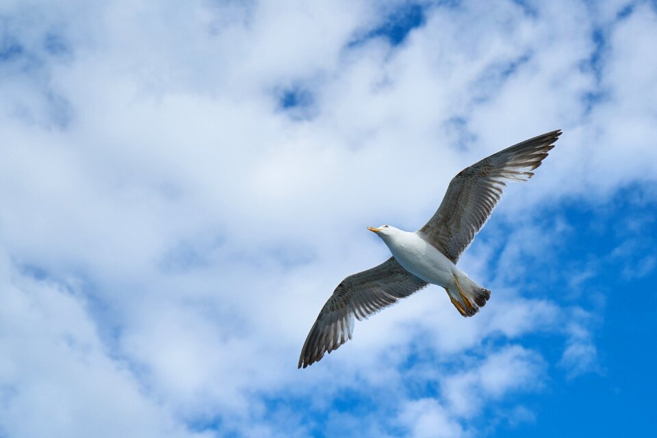 Sky nature landscape