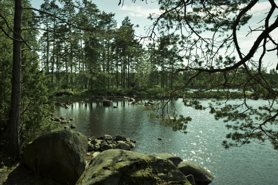Landscapes nature mirroring