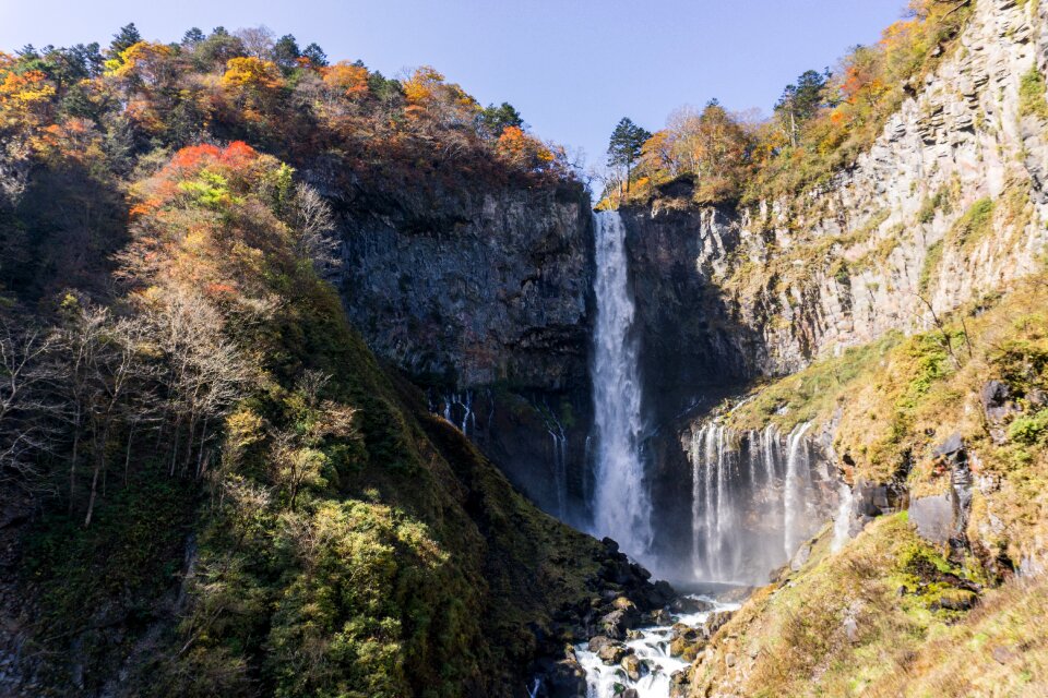 Foliage colorful japan