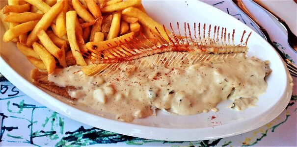 Spanish spain fish