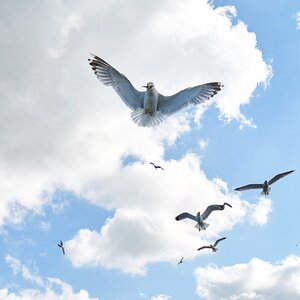 V nature clouds photo