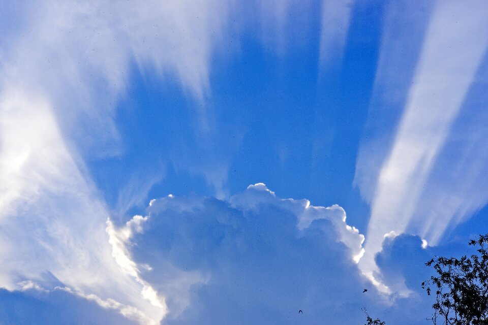 Rays of the sun bright contrast photo