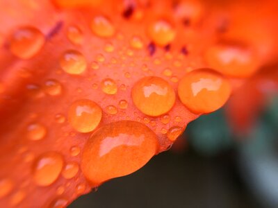 Water orange water photo