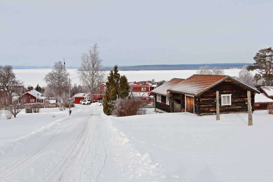 Winter cold beautiful photo