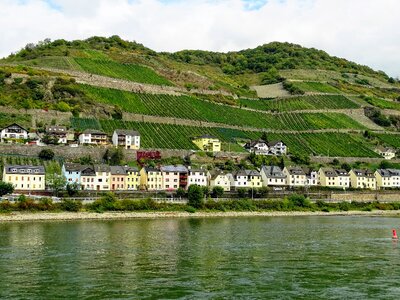 Wine landscape winegrowing