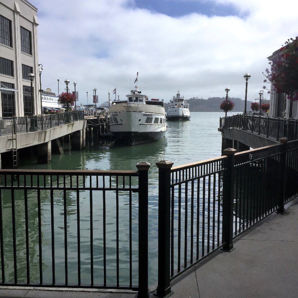 San francisco tourist
