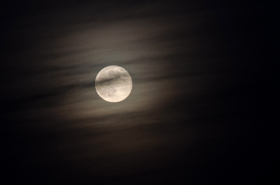 Night dark moonlight