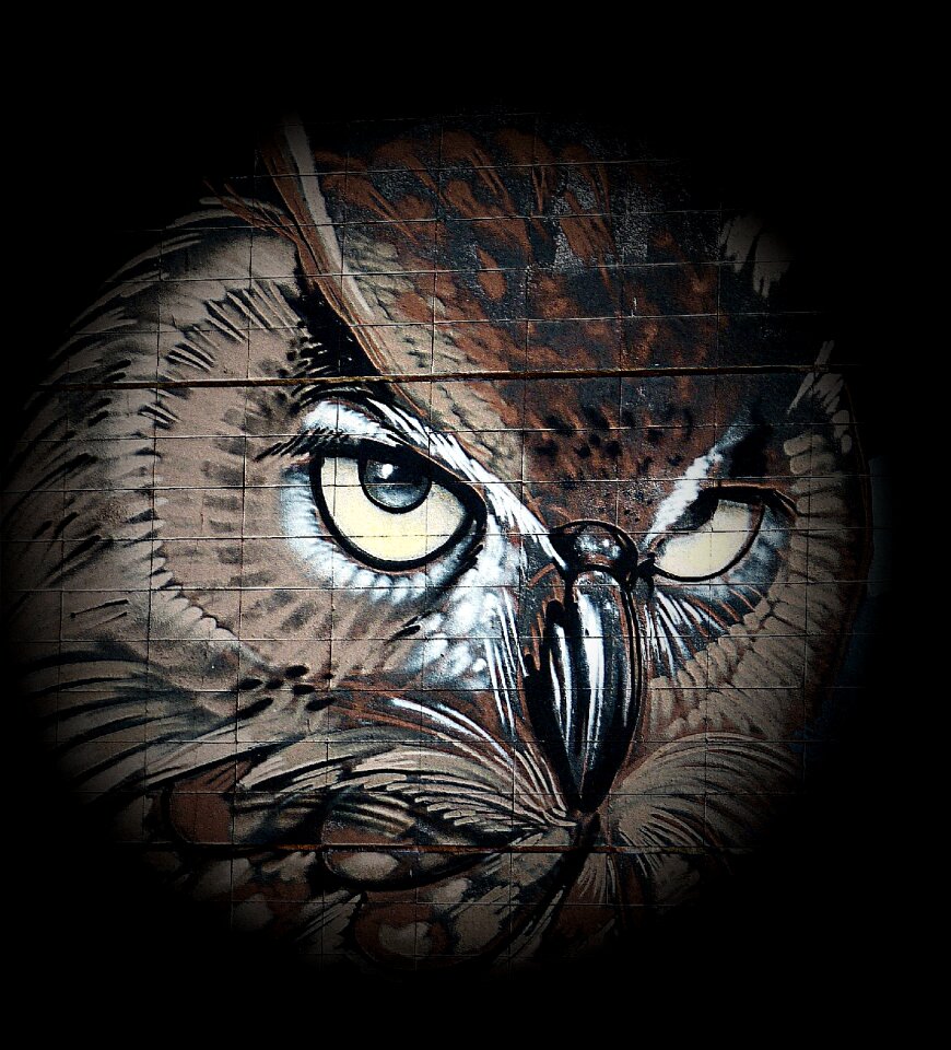 Art eagle owl animals