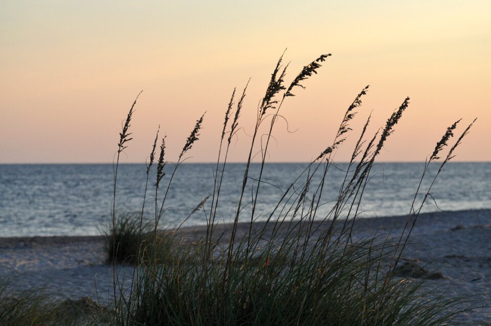 Shore ocean seascape
