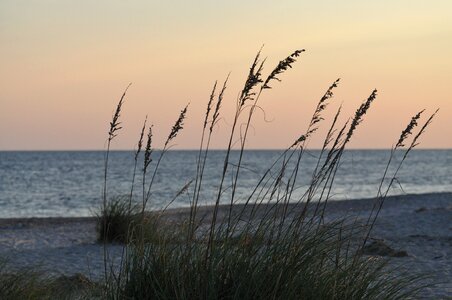 Shore ocean seascape