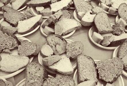 Tasting healthy food whole wheat bread
