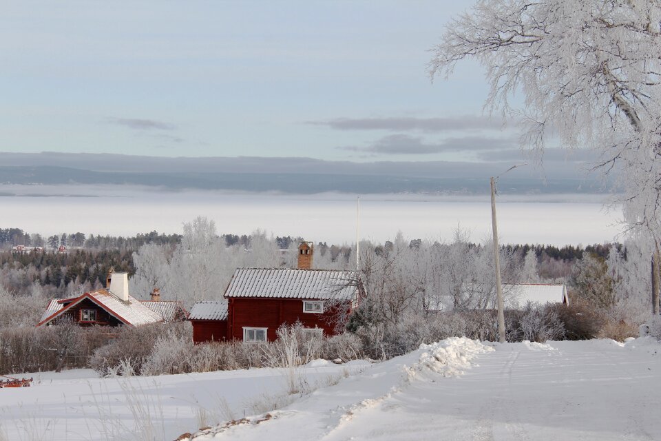 Winter cold beautiful