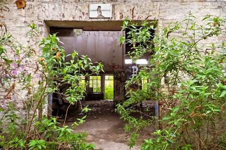 Ruin railway depot train photo