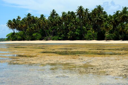 Boipeba brazilwood sea