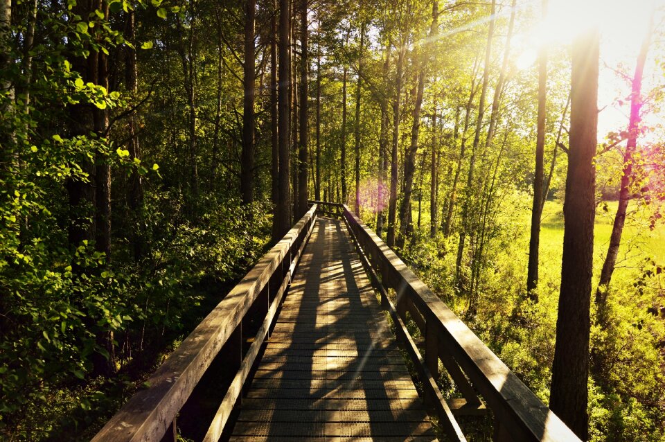 Sunset sweden nature