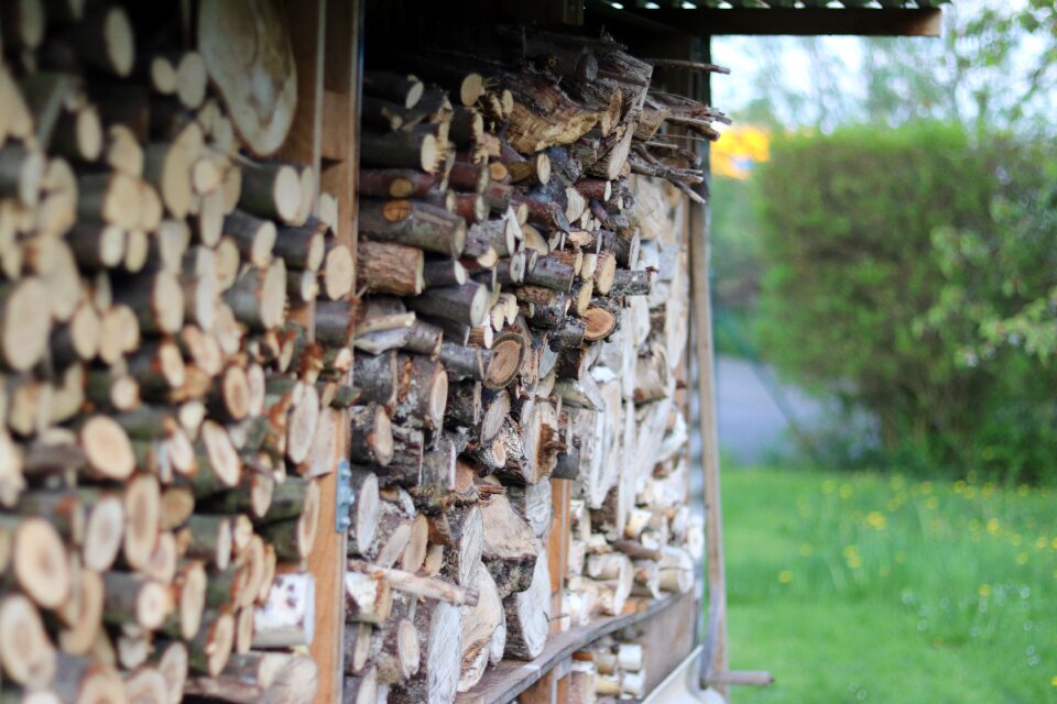 Tree material woodpile