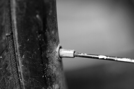 Bicycle cycle