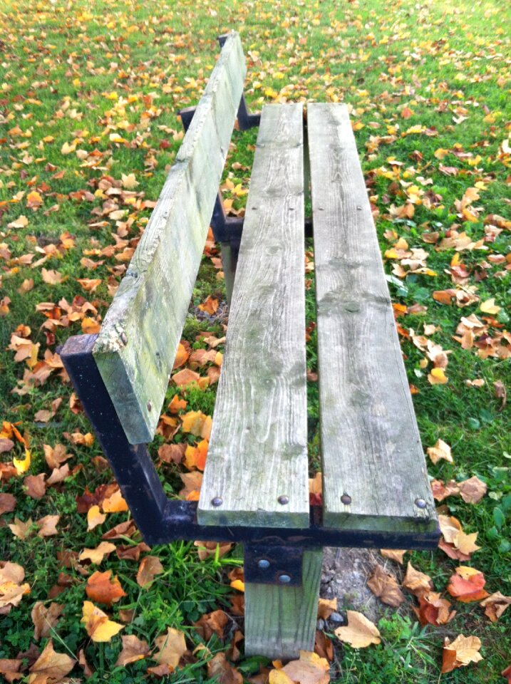 Leaves nobody