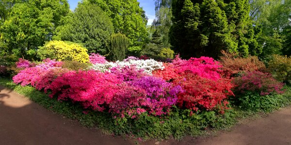Panorama without a filter color