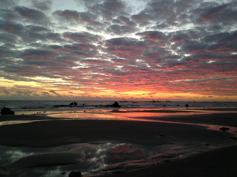 Nature beira mar mar