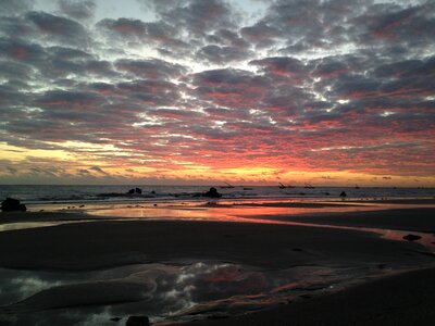 Nature beira mar mar