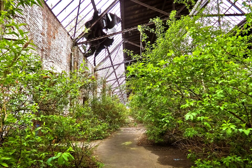 Ruin railway depot train