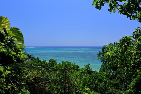 Okinawa blue sea coral reefs photo