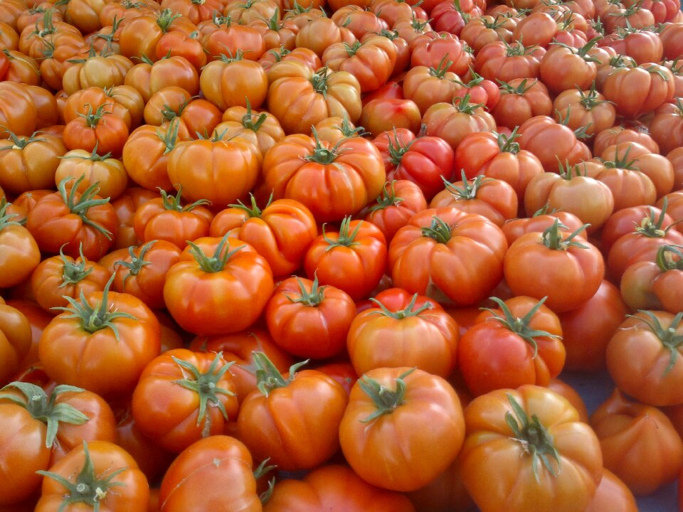 Healthy fresh vegetable