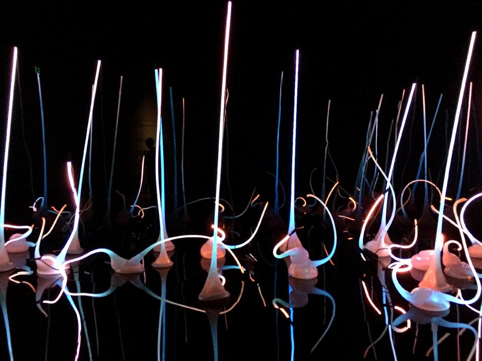 Decorative reflective
