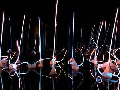 Decorative reflective