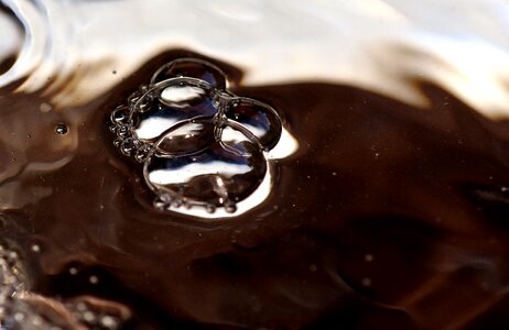 Air bubbles macro bubbling bubbles photo