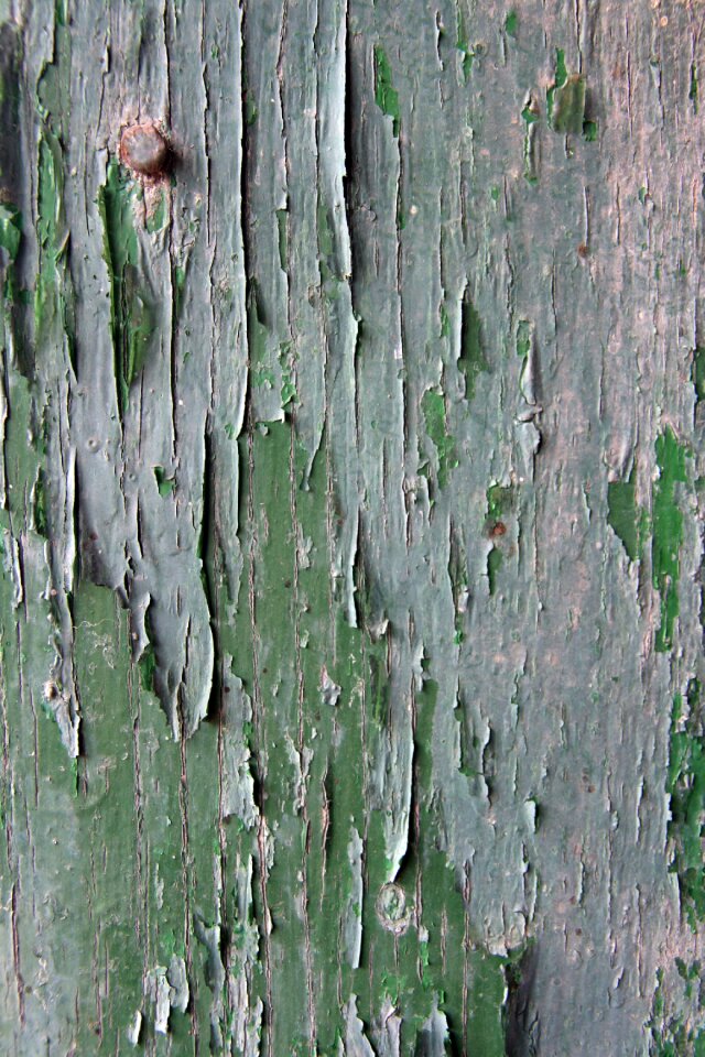 Peeling grunge design