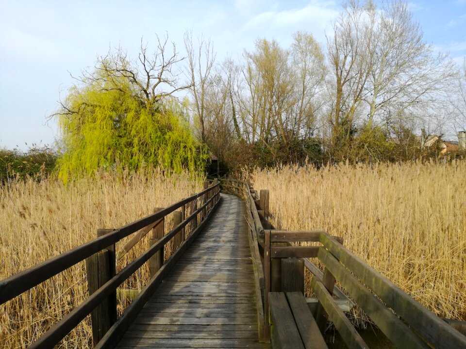 Laguna venetian lagoon canneto