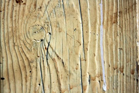 Wooden surface door