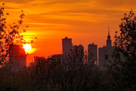 Skyscrapers buildings sunset photo